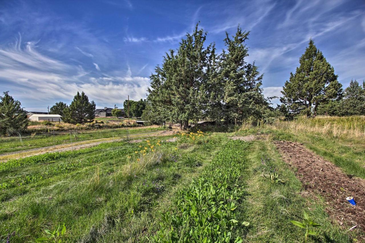 Updated Farmhouse With Deck On Central Oregon Canal! Villa Bend Dış mekan fotoğraf